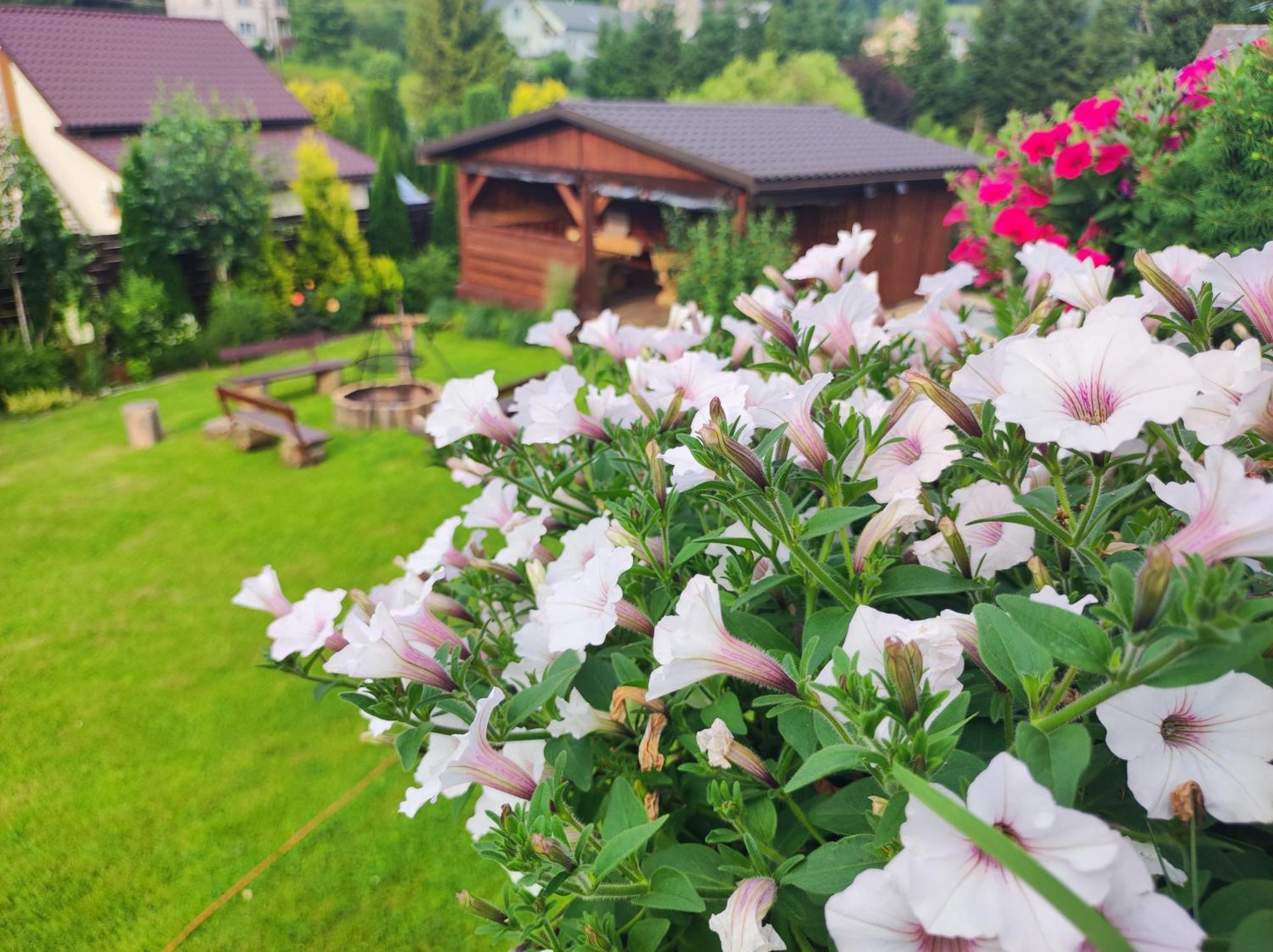 Dom Kowala Villa Jankowce Eksteriør bilde